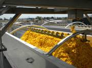 Troughless Screw Conveyor