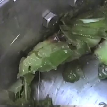 Pressing Aloe Vera Screw Press