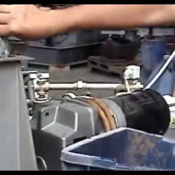 Black Soldier Fly Larvae in Vincent Screw Press