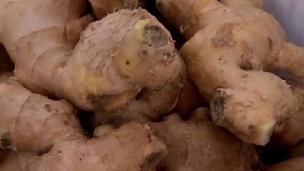 Lemons Ginger Juicing