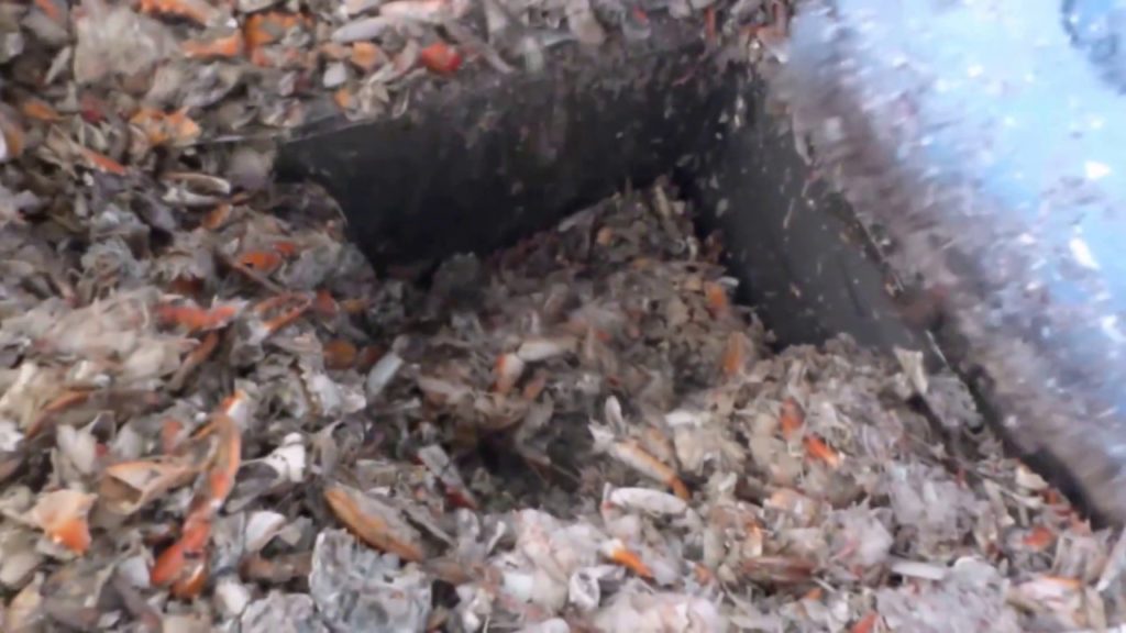 Shrimp Crab Waste Processing