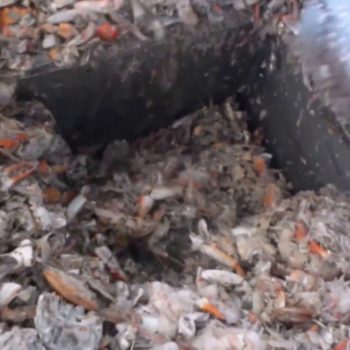 Shrimp Crab Waste Processing