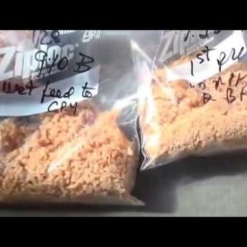 Soybean Protein Concentrate SPC