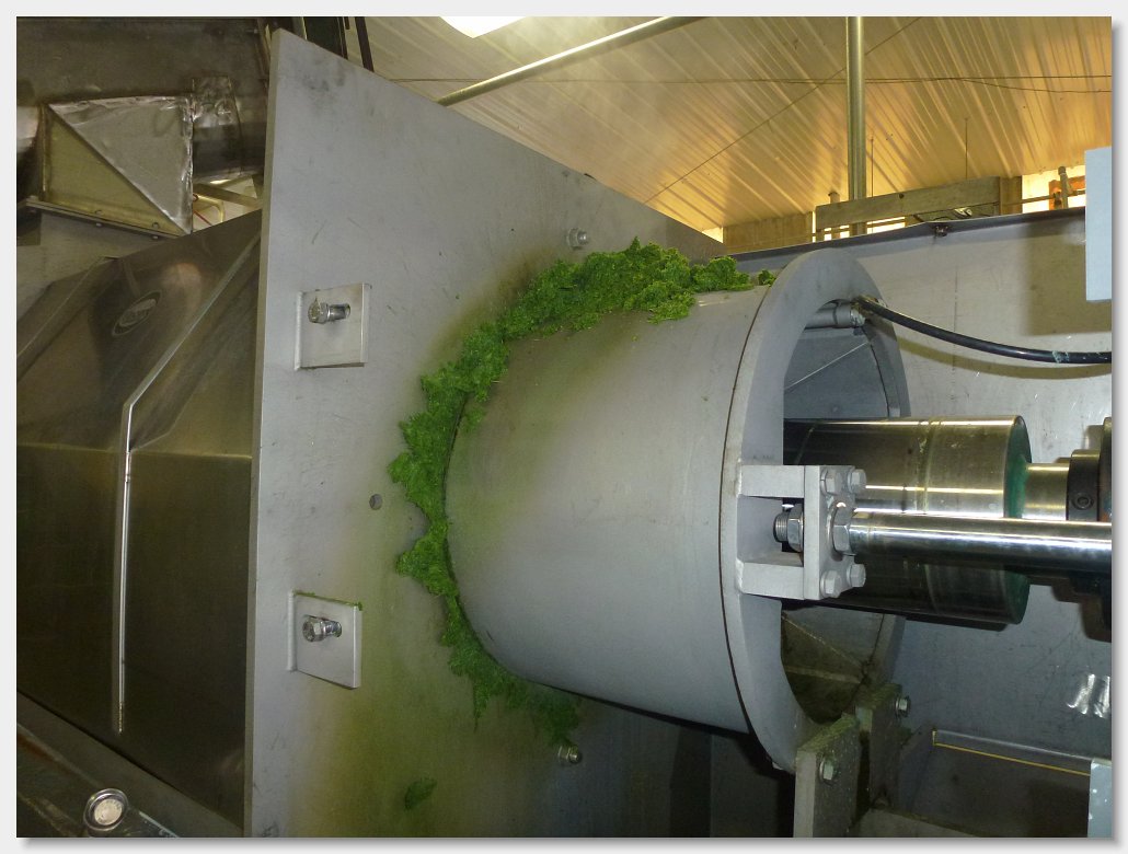 Juicing Vegetables with the VP-16 Screw Press